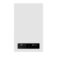 BellaGas Optimal 24.2 газовый котёл